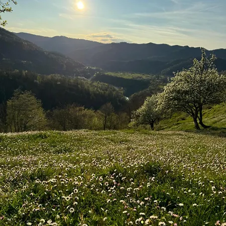 Apartma Na Podezelju - Slovenia Nature