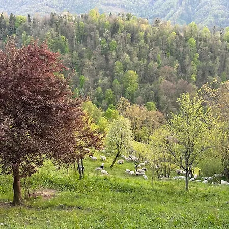 Apartament Apartma Na Podezelju - Slovenia Nature *